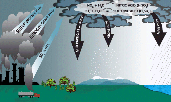 acid-rain-infographic-diagram-air-water-pollution-concept-stock-vector