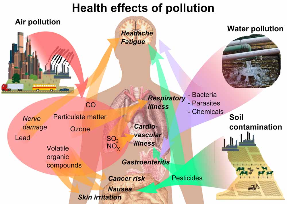 Effects Of Air Pollution On Human Health And Environment
